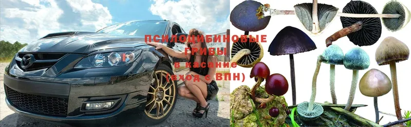 Галлюциногенные грибы GOLDEN TEACHER  Александровск 